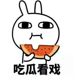 吃瓜爆料二智,二智背后的惊人真相大揭秘