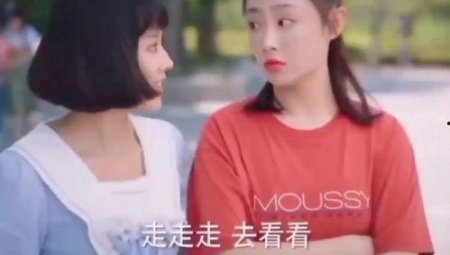 吃瓜吃到邻居身上,一场邻里纠纷的启示录