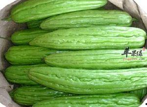 凉瓜什么月份吃,凉瓜的月份食用指南