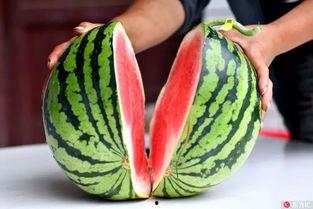 神木吃瓜事件,一场网络热议背后的真相与反思