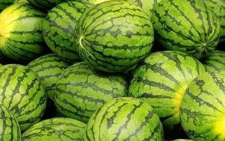 最大的吃瓜是啥,最大吃瓜者的神秘世界